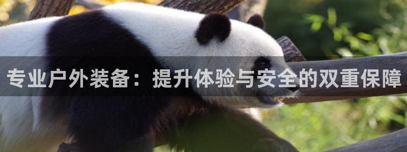 利记体育官网首页