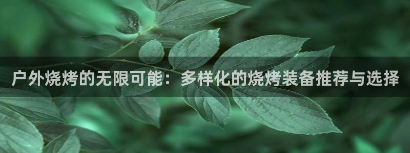 利记官网电脑版