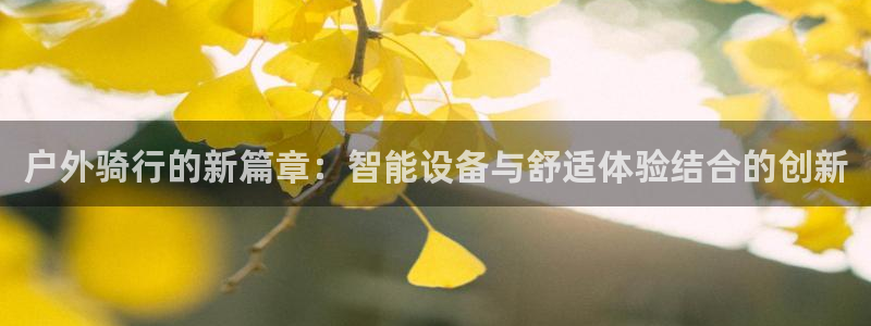 利记官网平台