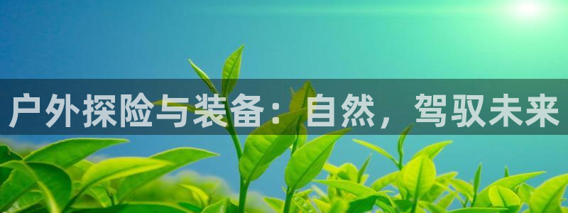 利记官网日亚运比
