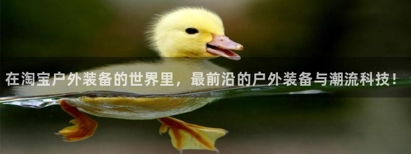 利记手机官网bb电子平台官方