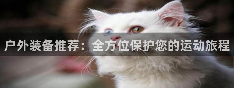 利记官网官方网址