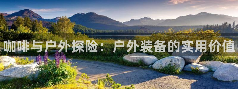 利记bet官网登录入口