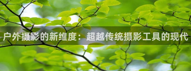 利记投注平台官网