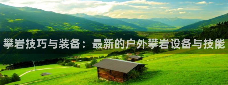 利记官网入口