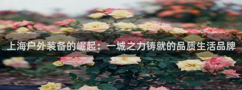 利记科技有限公司官网