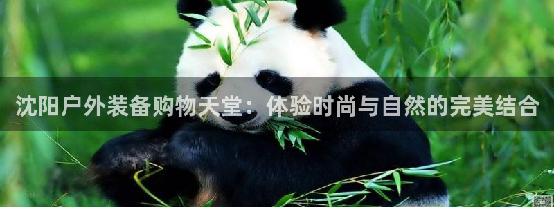 利记体育官网