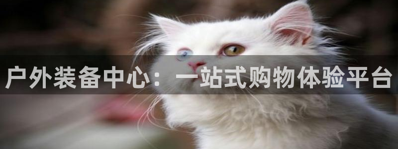 利记娱乐会员金钻官网
