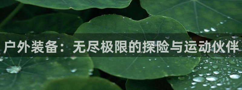 香港利记lee kee集团官网