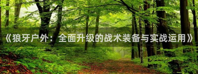 利记游戏开户ysb体育官方官网