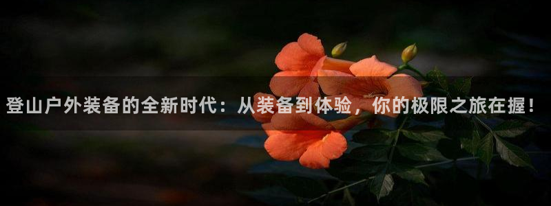 利记网官网网址