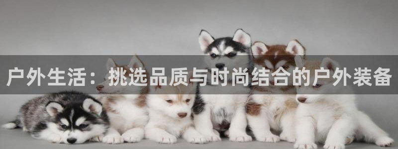 188bet注册利记官网app