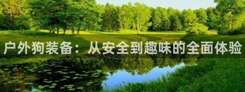 利记彩票导航网址官网hd71