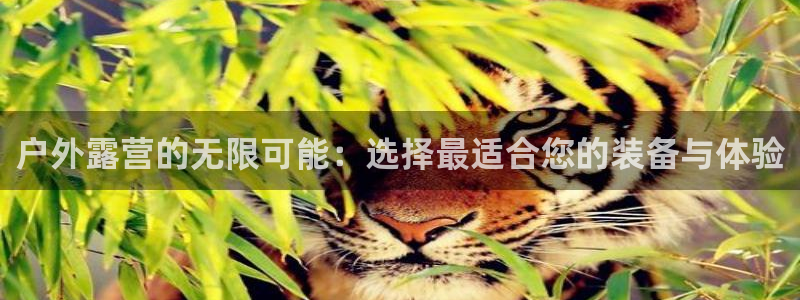 万利记官网电话