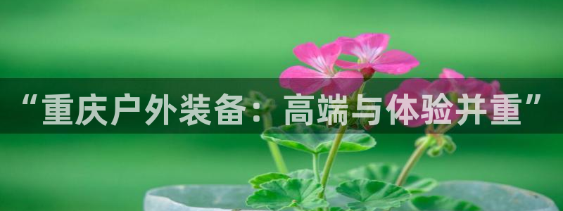 利记官网开户