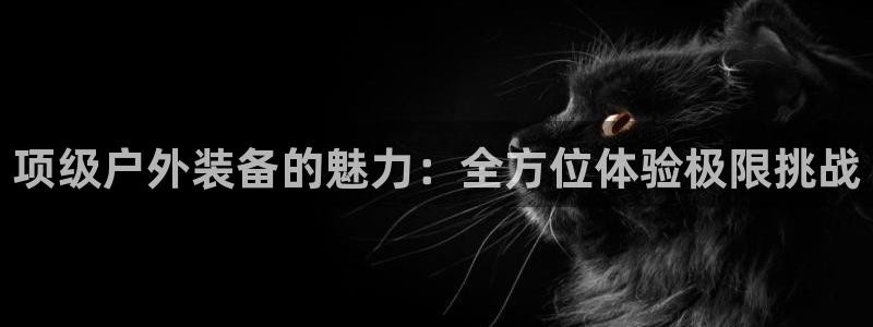 利记平台官网