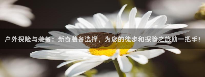 利记官网行业领导者