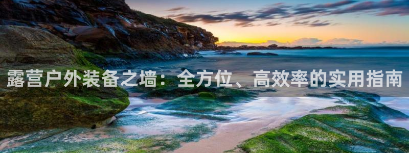 利记官网app下载网址