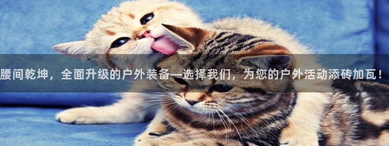 利记官网入口