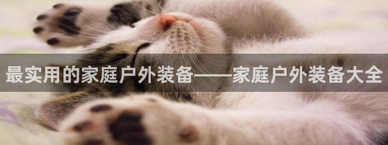 利记官网日亚运比