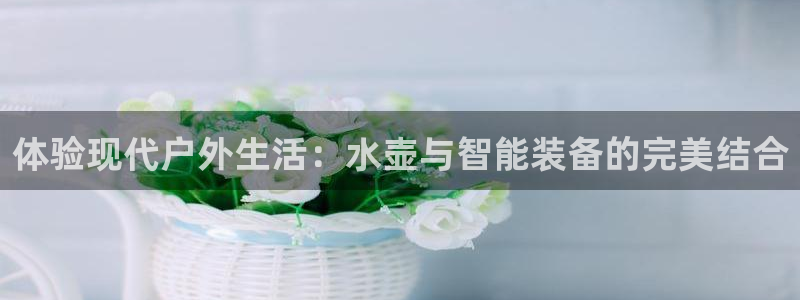 利记彩票官网wx678 com