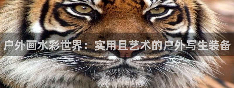 万利记唯一官网