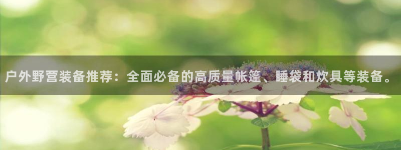 利记sbobet官网电脑版