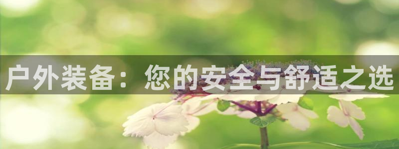 利记app官网真人游戏