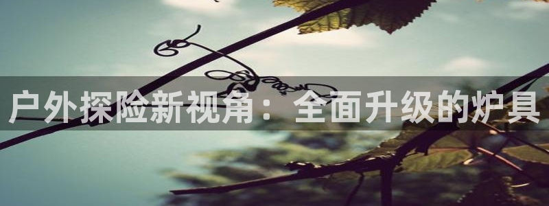 利记厨具官网售后