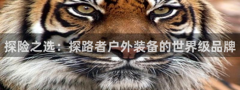 香港利记lee kee集团官网