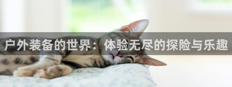 利记 利记官网