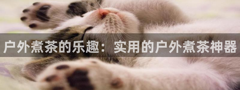 澳门大利来记官网