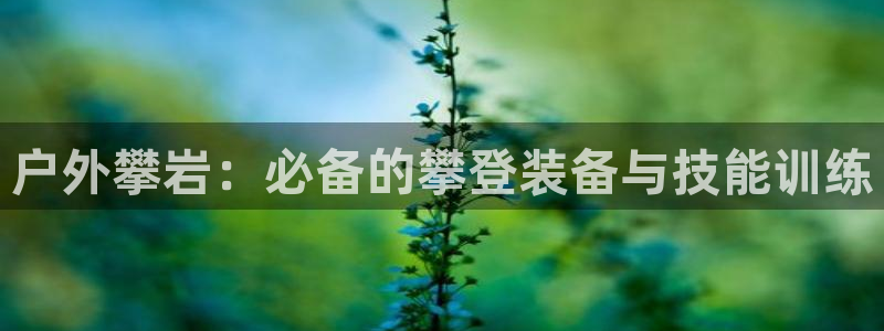 香港利记集团官网地址