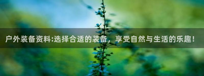利记真的官网