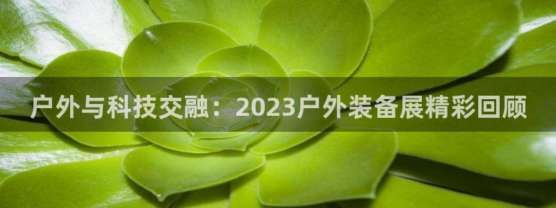 利记国际线址官网