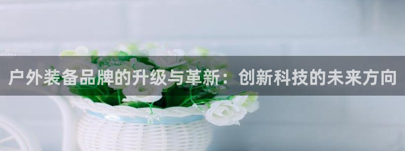 利记亚洲官网