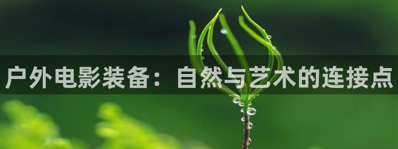 利记平台官网