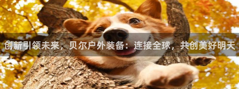 188bet注册利记官网app