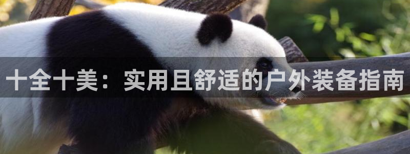 利记手机官网葡京备用