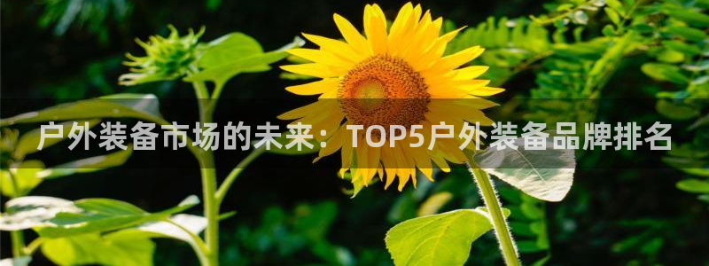 利记官网加盟