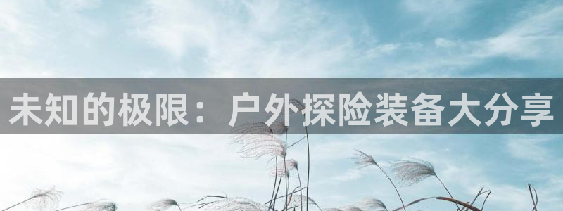 利记国际线址官网