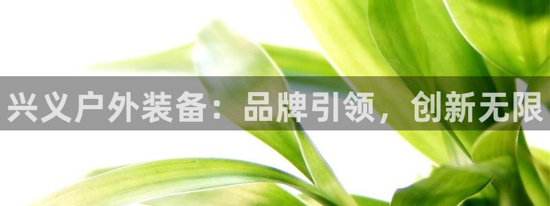 利记app官方官网登录