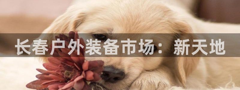 188bet注册利记官网app