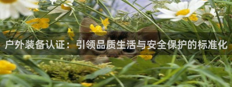 利记平台官网