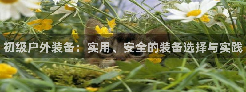 香港利记集团官网招聘