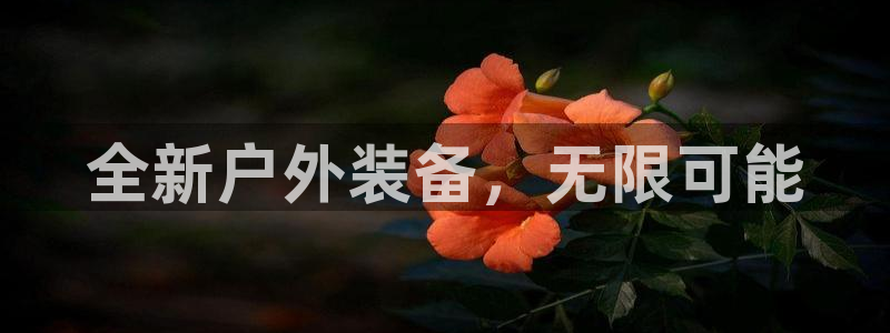 香港利记集团官网旗舰店