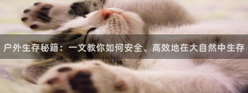 利记正式官网