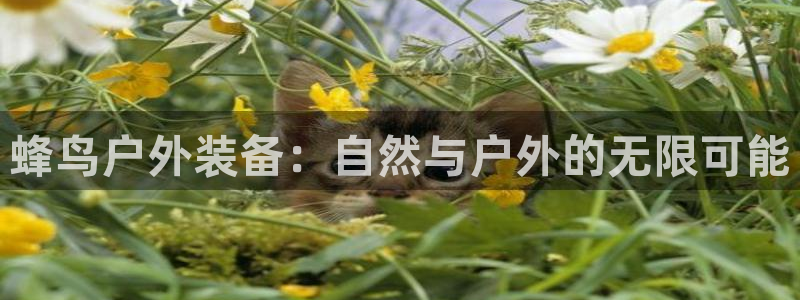 利记手机官网葡京备用