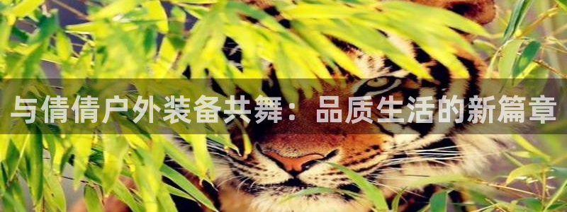 利记体育官网地址