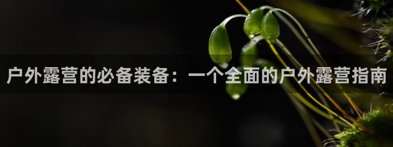 利记官网登录